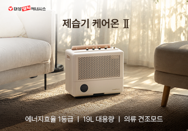 대성쎌틱에너시스, 