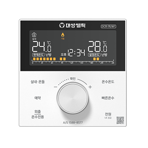 DCR-91WF